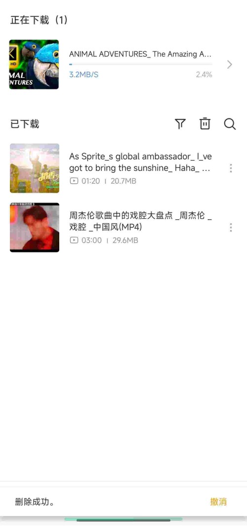 1751333728834_GdC3mEQO3maf7652c53ad2d7ff.jpeg