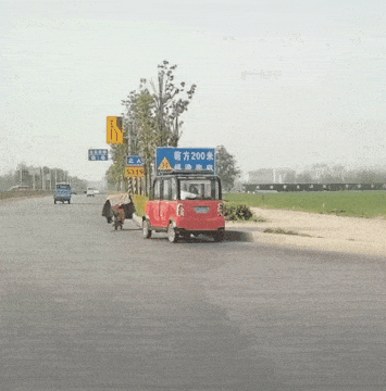 640-117d2480488ebc14d8.gif