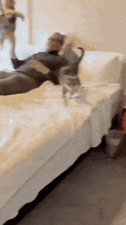 640-15c40aece6b05f7104.gif