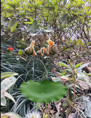 6408fbb28e905f54fbf.gif