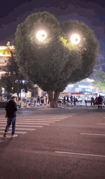 640-140fd3e940d3ed07d4.gif