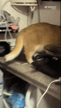 640-16d5887097824be2f.gif