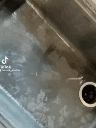 640-4d70da0d0d559ab11.gif
