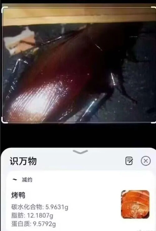 640-64d07b9535c7b4e1d6.jpg
