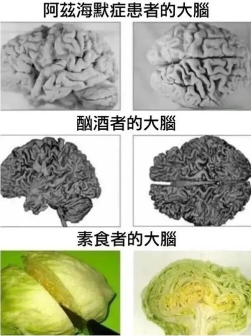 640-67ada9f8ce4d12a7f5.jpg