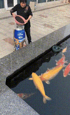 6403819c76b786f4154.gif