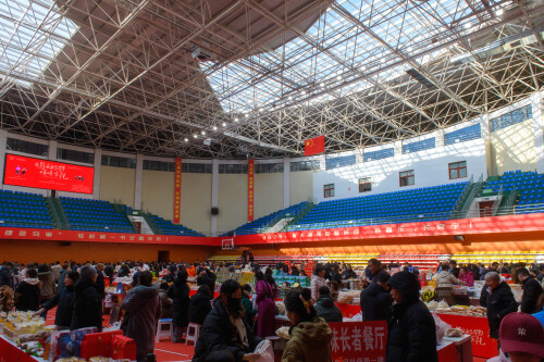 B-004FooPhotos_0871LR-STRD44ef885b36c6504c.jpg