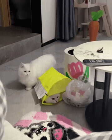 640-11b402e9086717e33d.gif