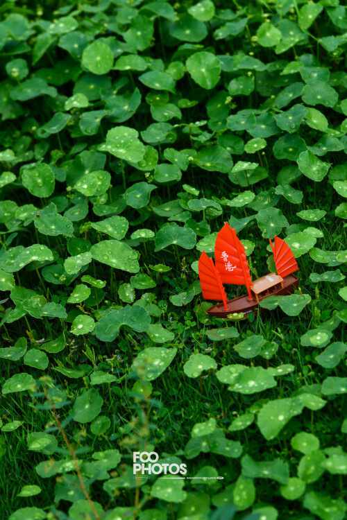 007FooPhotos_4635LR-1920px123225d7b42790b0.jpg