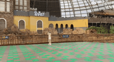 640-11518b767a07229852.gif