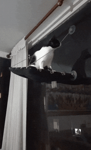 640-23d2c2d2cfa491d58.gif