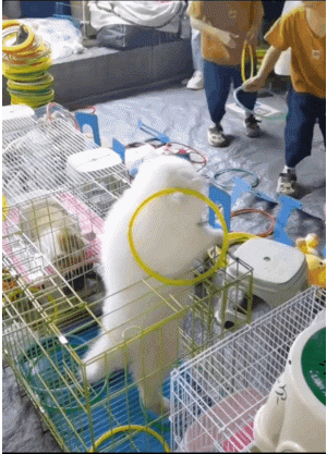 640-35f9e51de6d44e97d.gif
