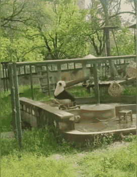 640-7fd5c53cddf79f5e8.gif
