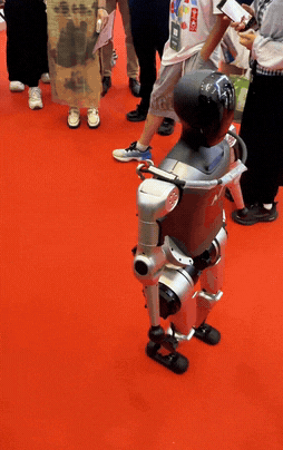 640-17ac71bc67d7bff2df.gif