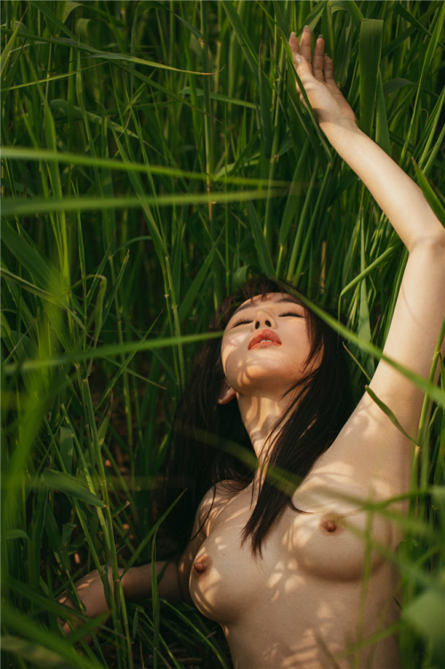 P87fe95629a40afe978.png