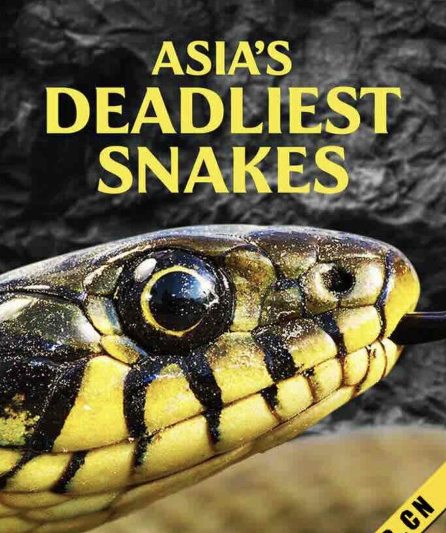 亚洲毒蛇之最  中文字幕  (2010)海报