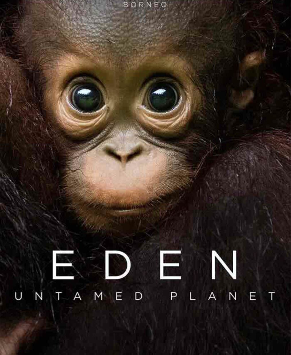 伊甸园：最后的秘境 4K 全集 中英硬字幕  (2021) 海报