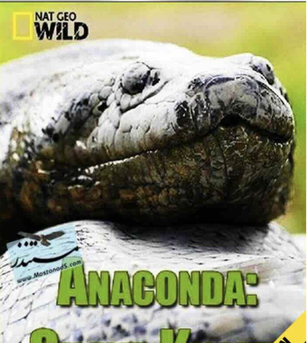 蟒蛇：沉默杀手  国语 中英硬字幕 (2014)海报