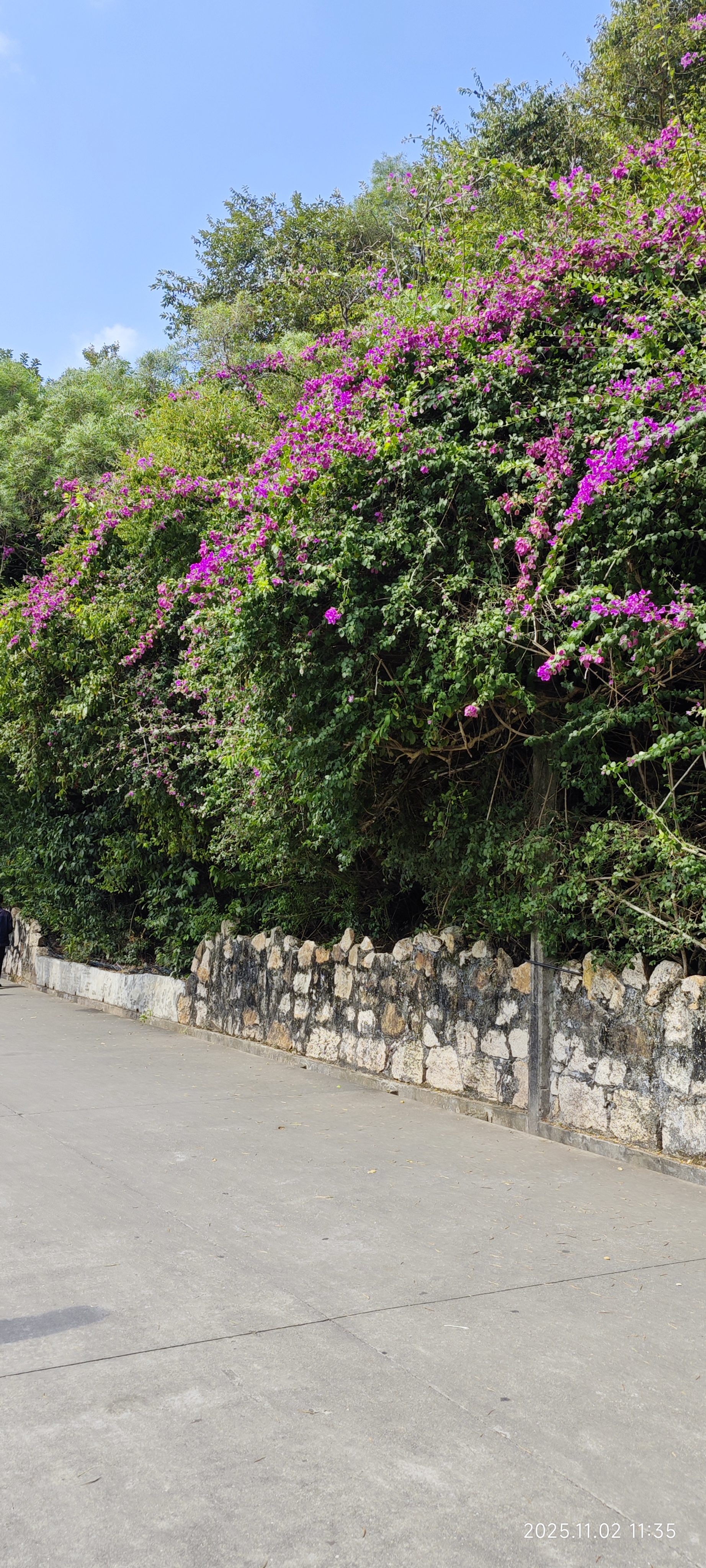 虎门·威远炮台