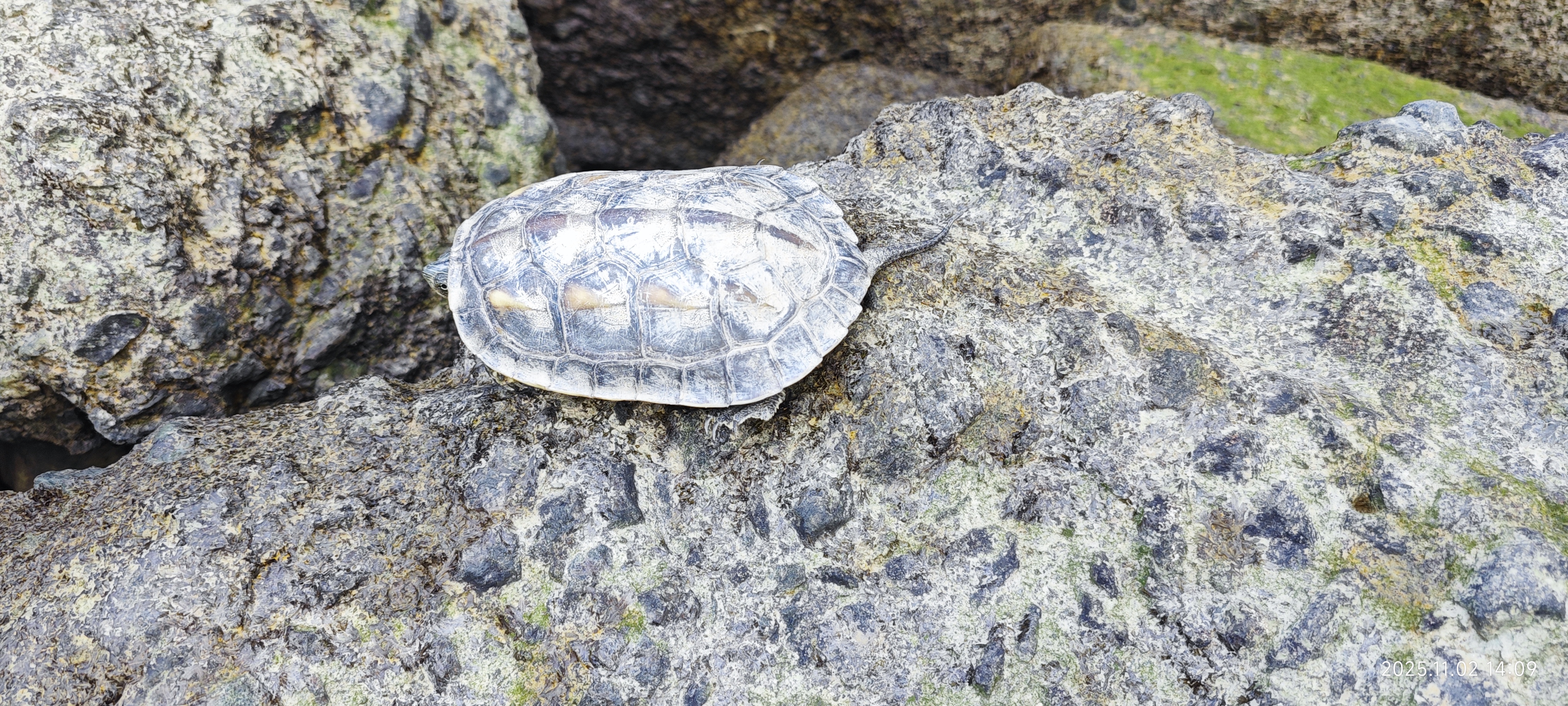 虎门·威远炮台