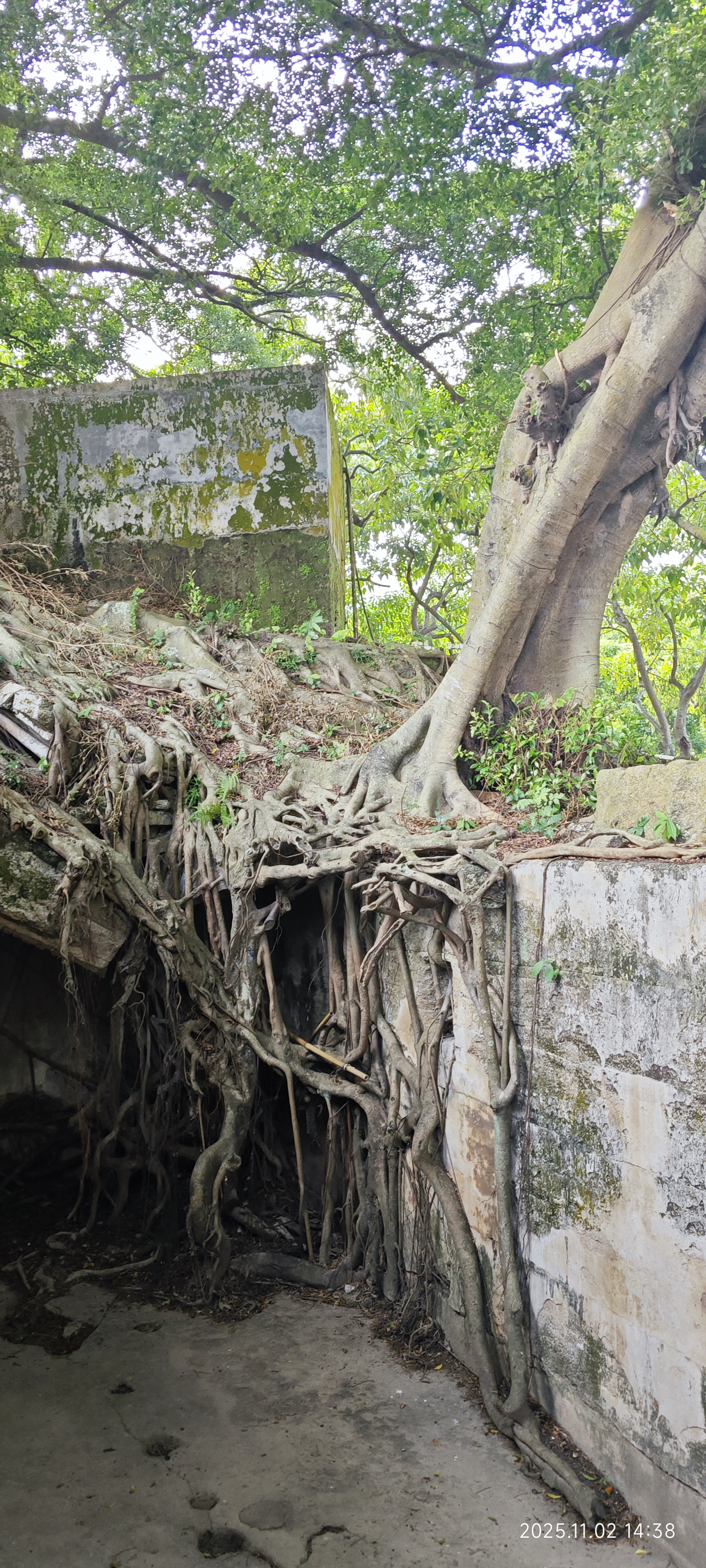 虎门·威远炮台