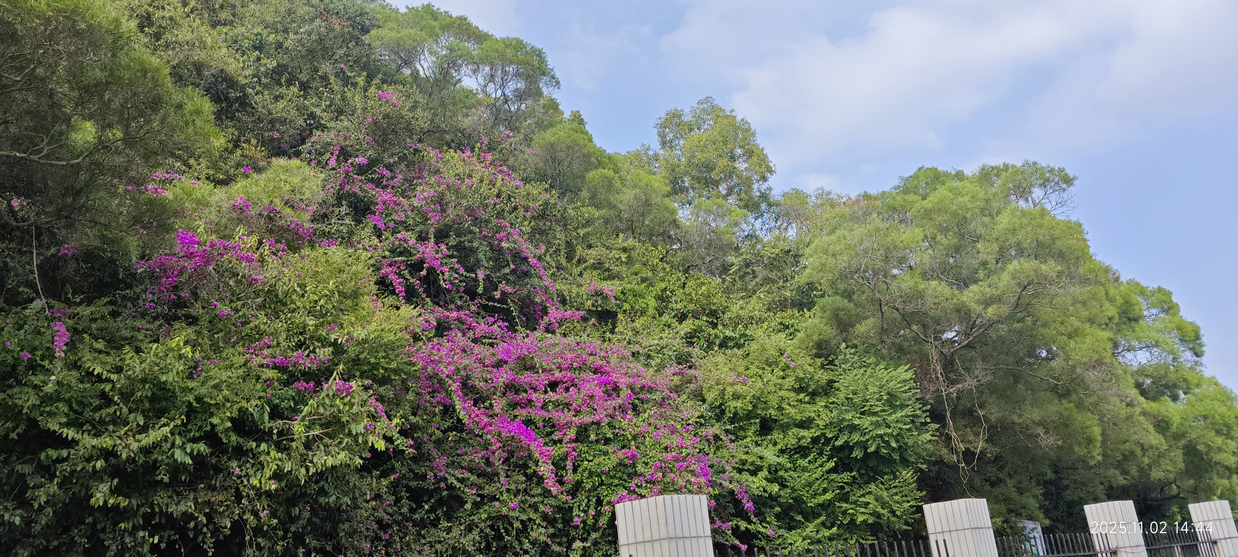 虎门·威远炮台