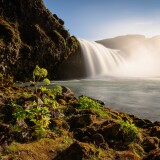 14AAE6AE-BB24-4B29-8577-F972C4E19DD9f612b4624e9d01b8