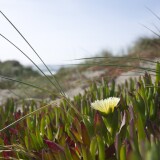 5E05AA9E-42C7-417E-AC0E-9E30AE0CBC16bb960c5b71864975