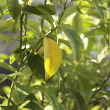 A2F5820A-65B8-458E-851D-070D1085B2C19f3fd3f9cb5a4124