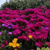 B0BA87FD-95CE-4D10-93A0-674FA4CAC4723781f92e38eb9e5b