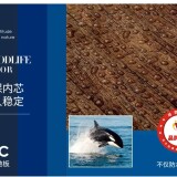 640-48cut8db11d599416c92f