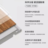 640-6cutdbabf98691502617