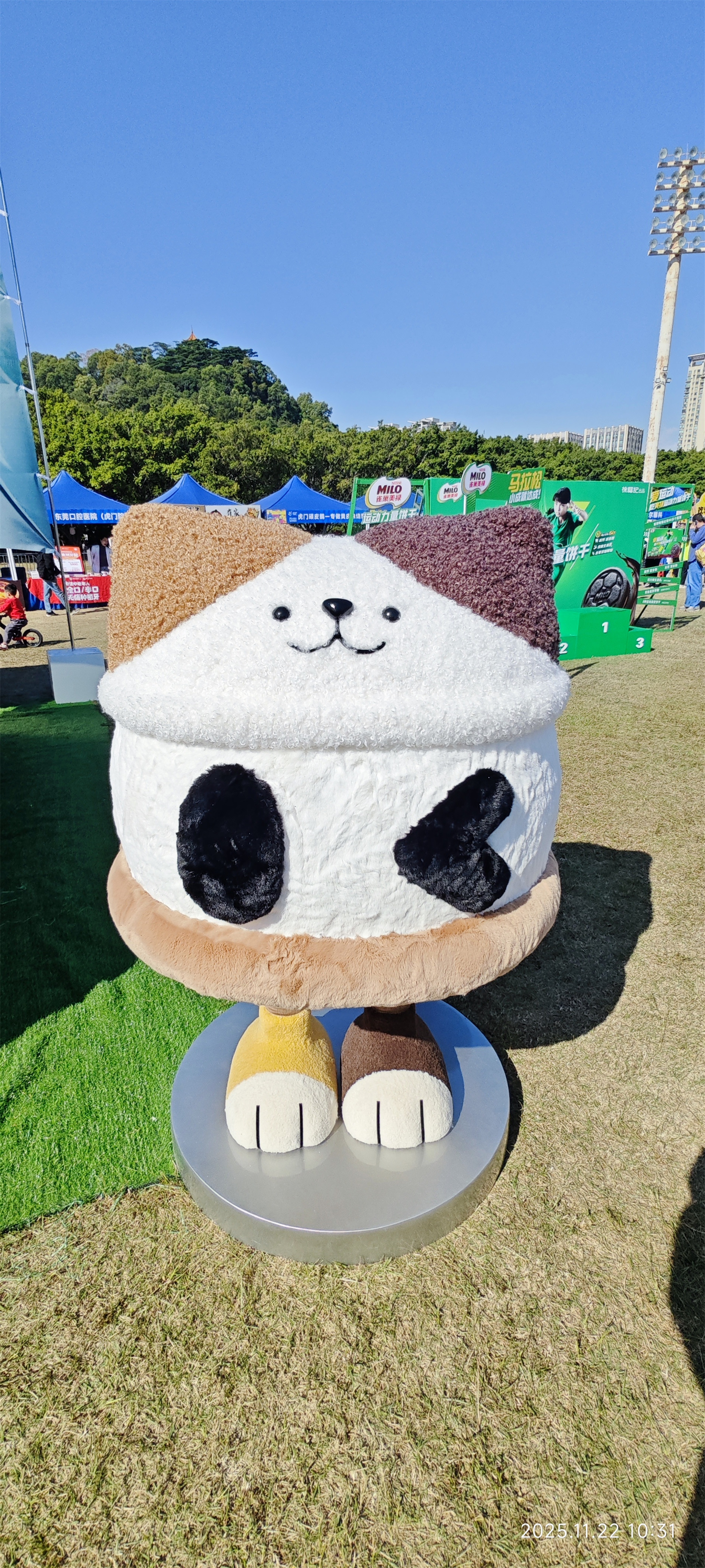 2025虎门半程马拉松赛