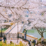 10-1b2ffa35ed5d72b8f