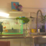 121960233a09215e16ce180bd9f507eedd501cbcd2af3822