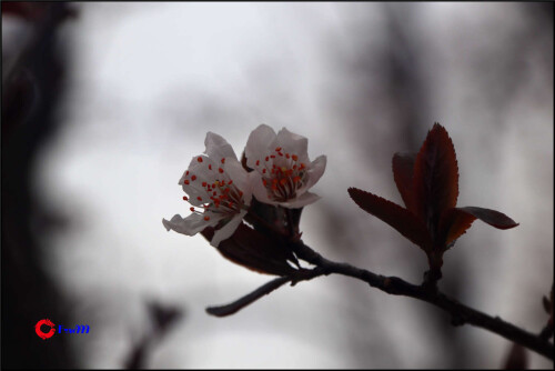 IMG_5336d3e02122d6f84acd.jpg