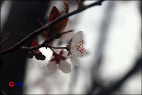 IMG_5337f420b0e6b28a79e6.jpg