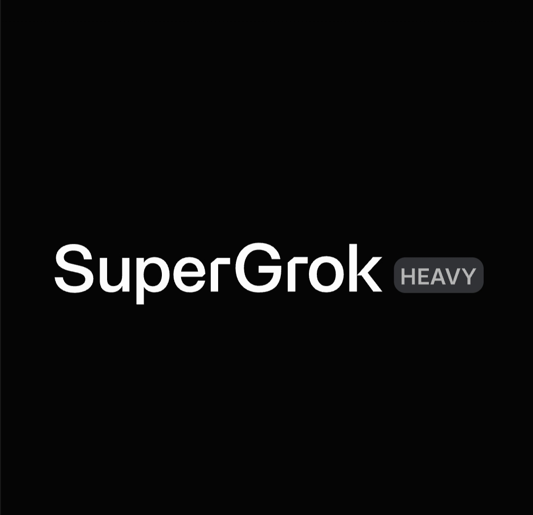 grok heavy镜像站web，15天使用token