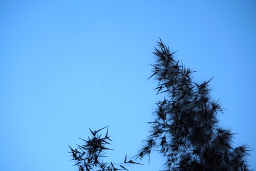 pbgC_DA827fQp90md386a8bfce294dbf.jpg