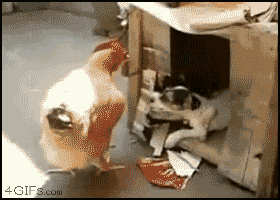48f8c54643689709f0913a763a8.gif