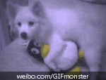 4a369afe8f361fc404e70f4f.gif