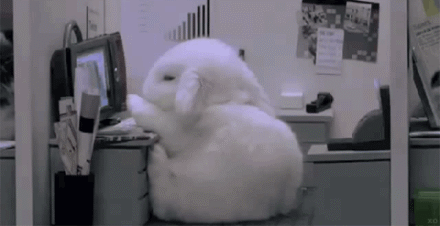 645004942013052513504603357a7f73dbc587fee.gif