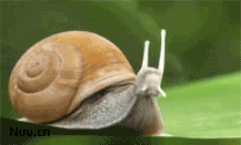 8eab8c361e391a476282c67.gif