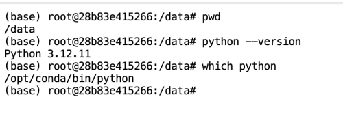 terminal-python-checkd568cc610011191e.png