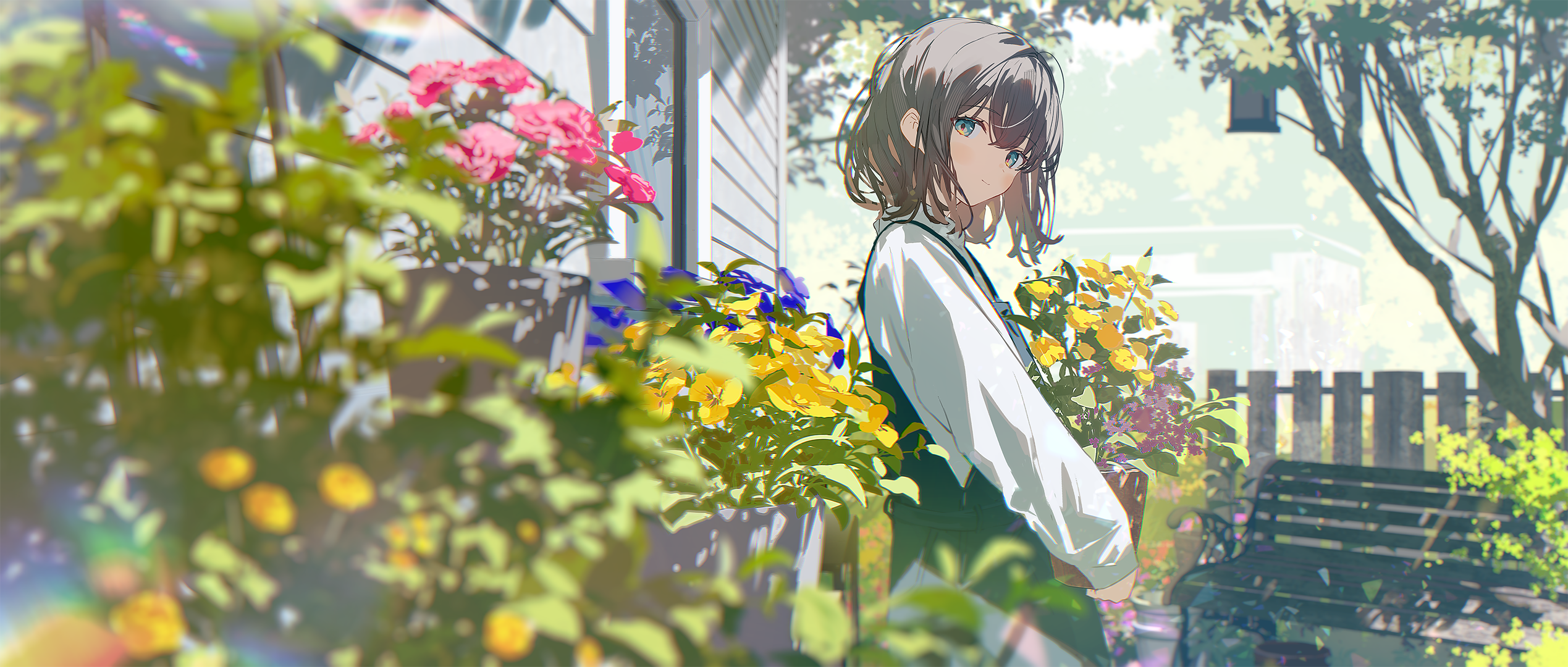 Banner image of the blog