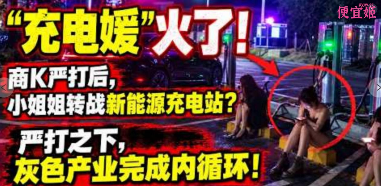 图片[2]-近期网络爆火新词❤️“新能媛“”充电媛”彻底刷屏全网[蹲桩搭讪车主被扒 车在充电 人在车震]-便宜姬
